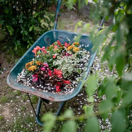 Ana & Milo Appartement *