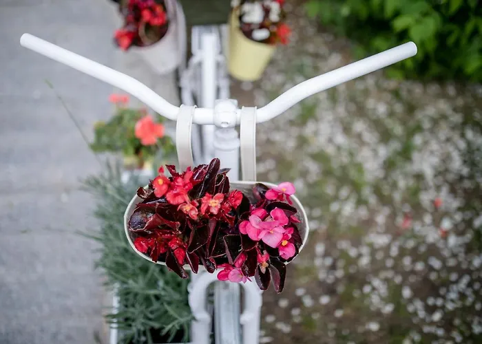 Ana & Milo Apartamento Lopar