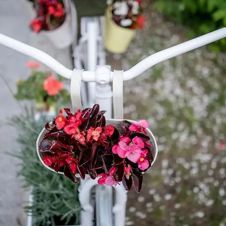 Ana & Milo アパート ロパール